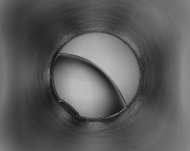 X0000088180397200705150943