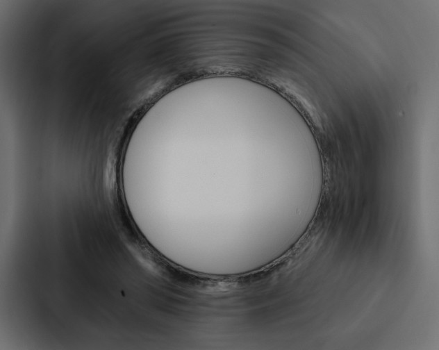 X0000088180398200705150943