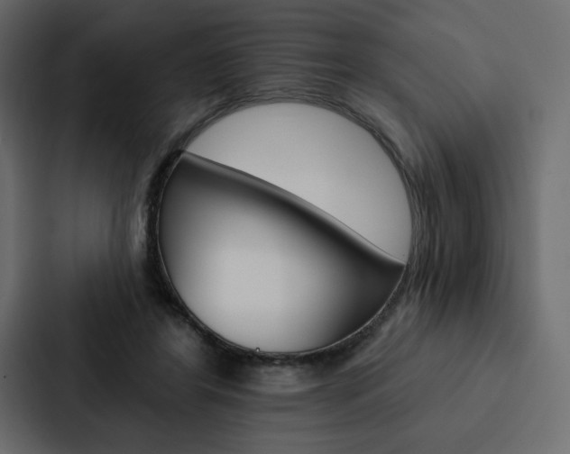 X0000088180404200705150943