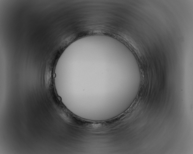 X0000088180406200705150943