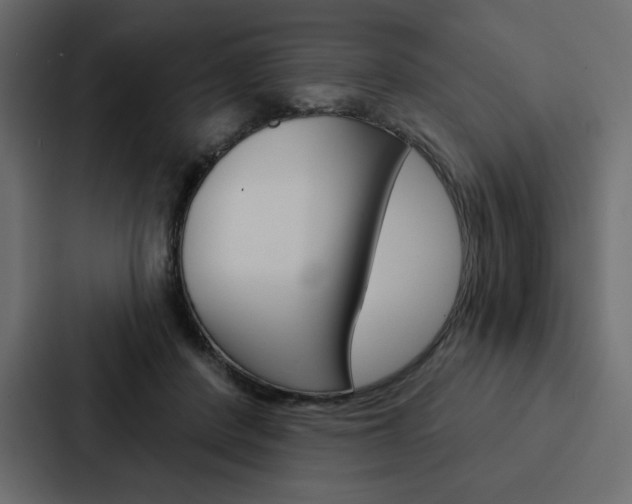 X0000088180408200705150943