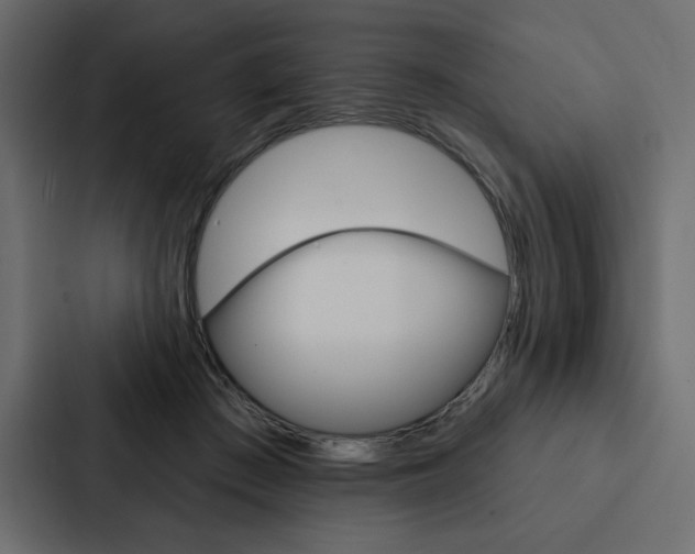 X0000088180409200705150943