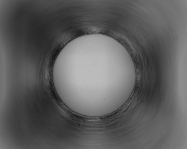 X0000088180410200705150943