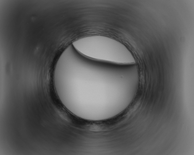 X0000088180412200705150943
