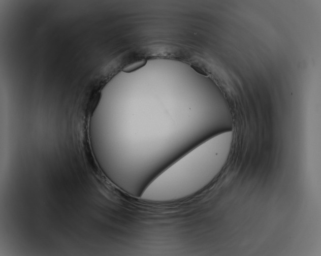 X0000088180413200705150943
