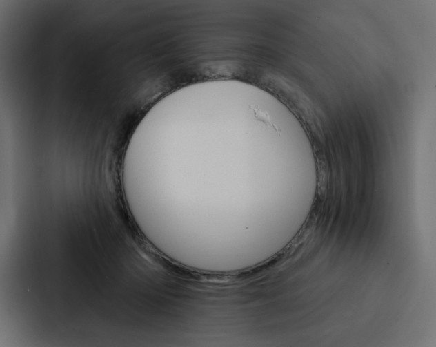 X0000088180414200705150943