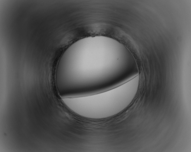X0000088180416200705150943