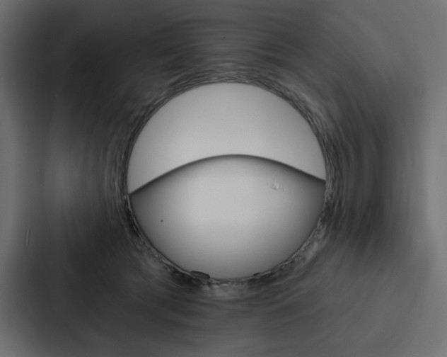 X0000088180417200705150943