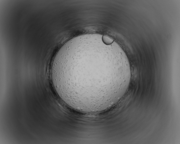 X0000088180418200705150943