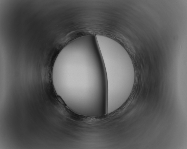 X0000088180421200705150943