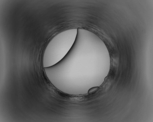 X0000088180422200705150943