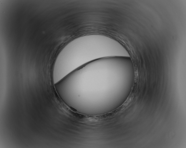 X0000088180423200705150943