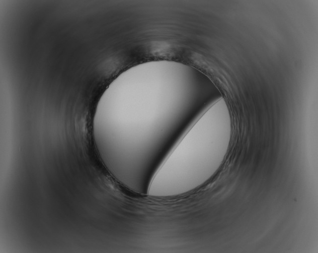 X0000088180424200705150943