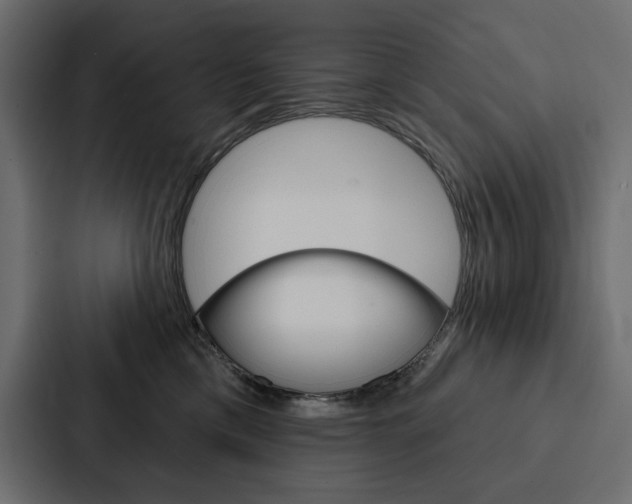 X0000088180425200705150943