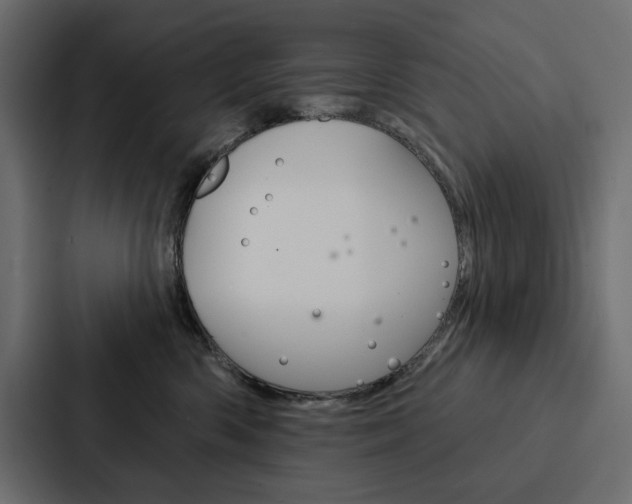 X0000088180426200705150943