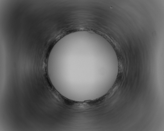 X0000088180427200705150943