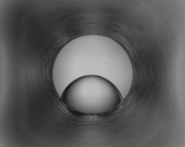 X0000088180428200705150943