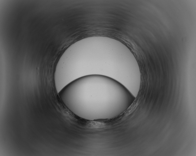X0000088180429200705150943