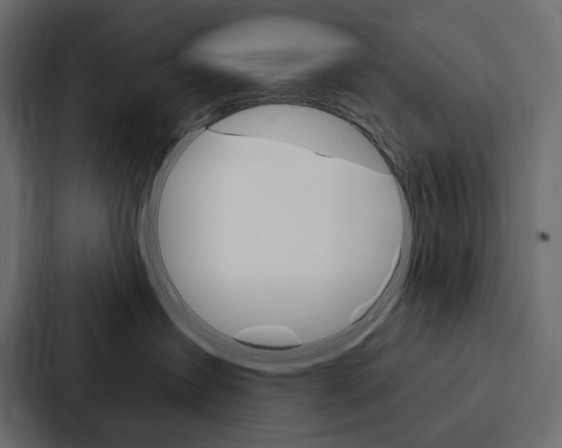 X0000088180431200705150943