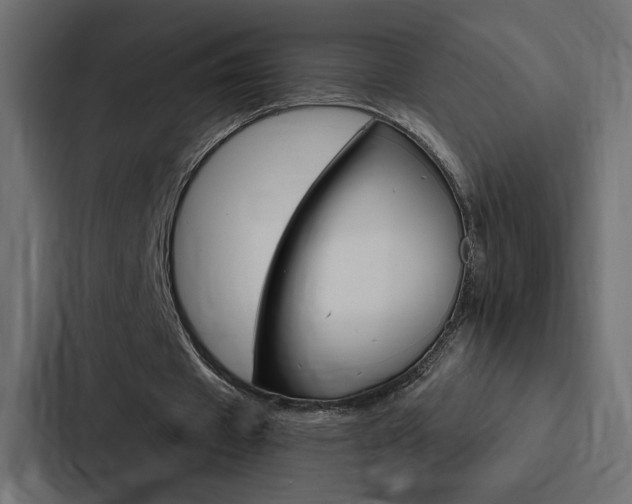 X0000088180433200705150942
