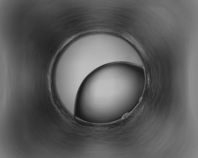 X0000088180436200705150942