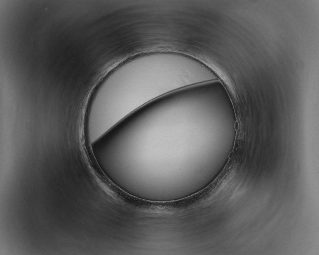 X0000088180437200705150942
