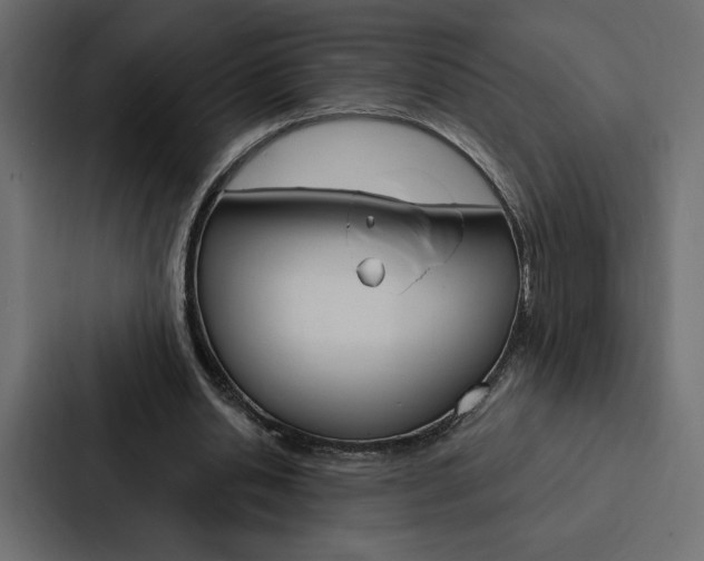 X0000088180438200705150942