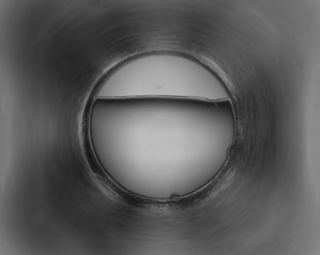 X0000088180439200705150942