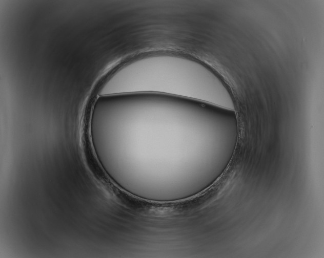 X0000088180440200705150942