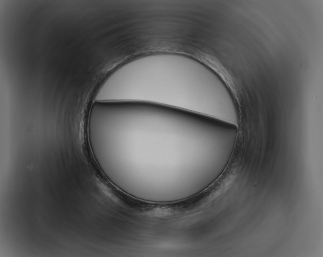X0000088180441200705150942