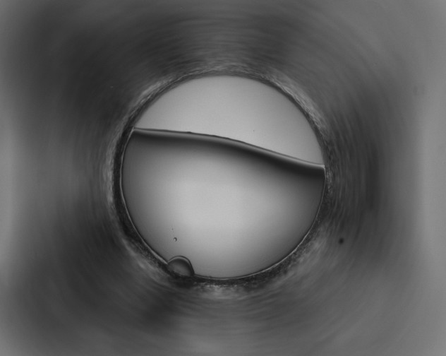 X0000088180442200705150942