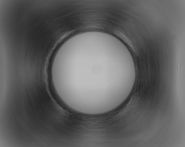 X0000088180444200705150942
