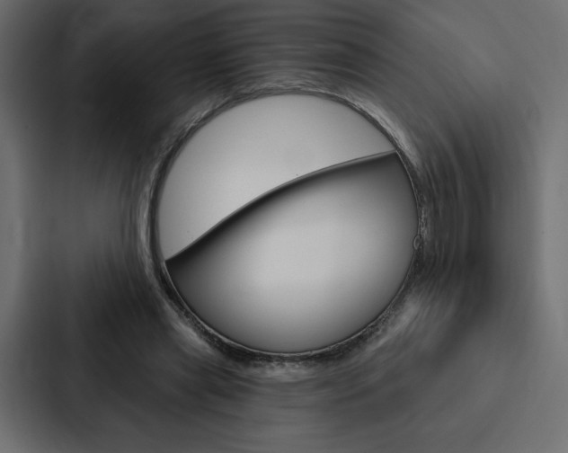 X0000088180445200705150942