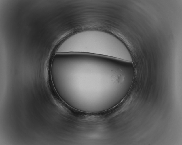 X0000088180446200705150942