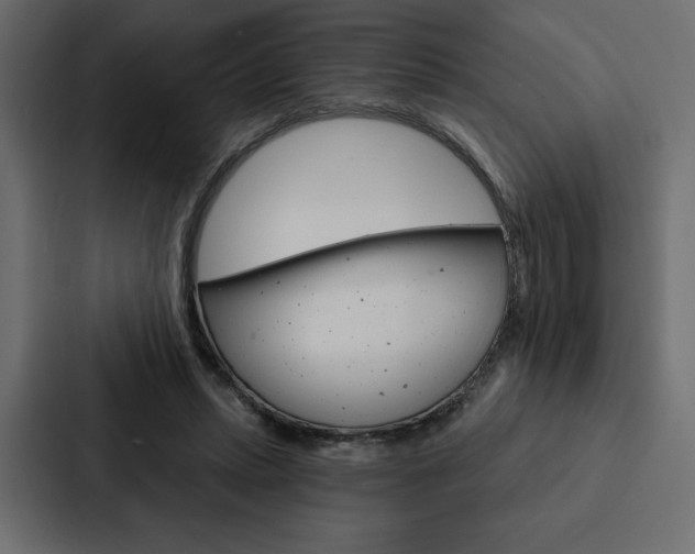 X0000088180447200705150943