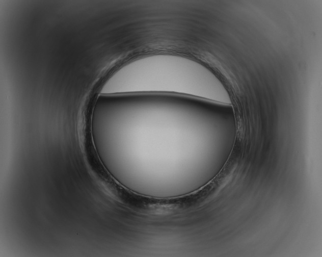 X0000088180448200705150943