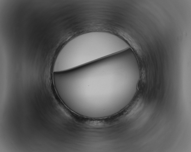 X0000088180449200705150943