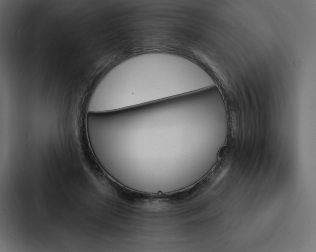 X0000088180451200705150943