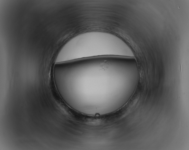 X0000088180454200705150943