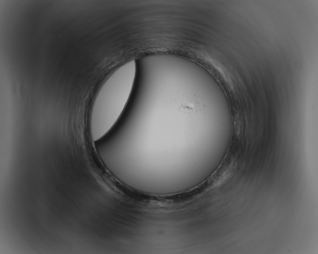 X0000088180455200705150943