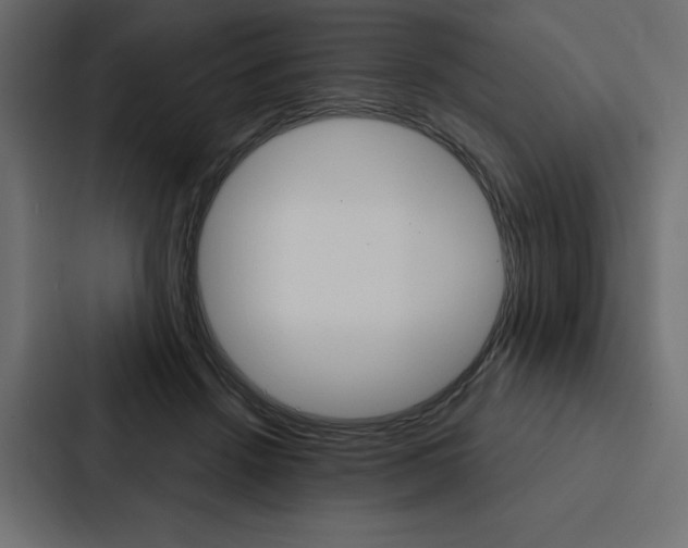X0000088180456200705150943