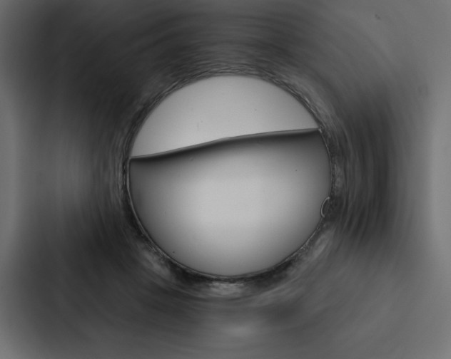 X0000088180457200705150943