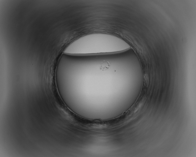 X0000088180458200705150943