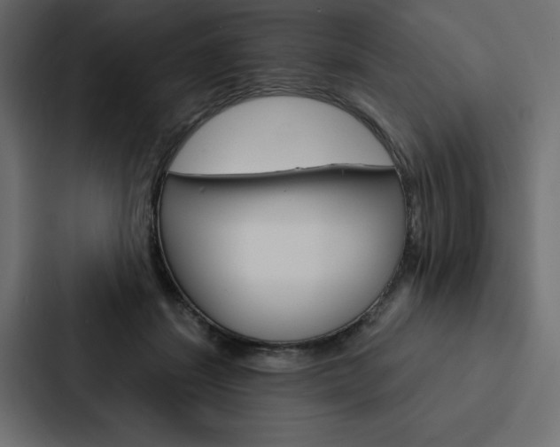 X0000088180459200705150943