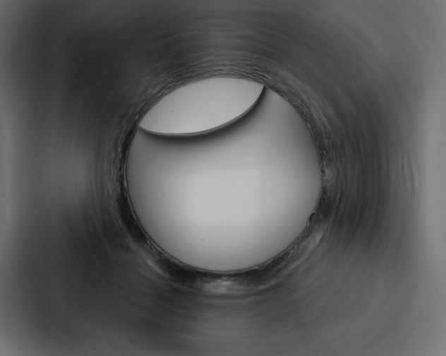 X0000088180460200705150943