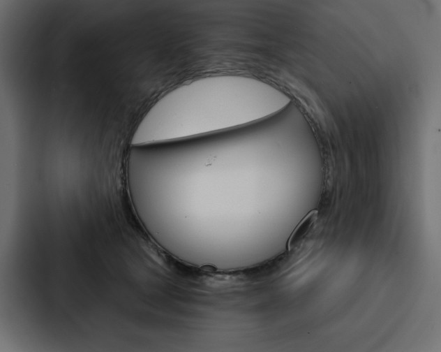 X0000088180465200705150943
