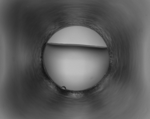 X0000088180466200705150943