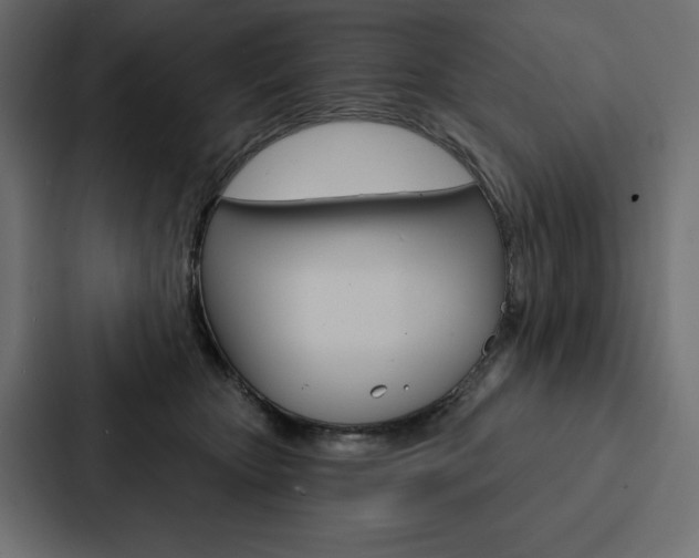 X0000088180467200705150943