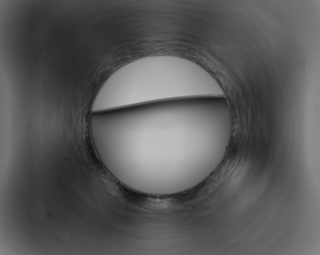 X0000088180469200705150943