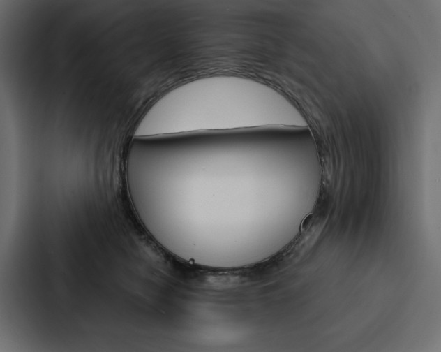 X0000088180470200705150943